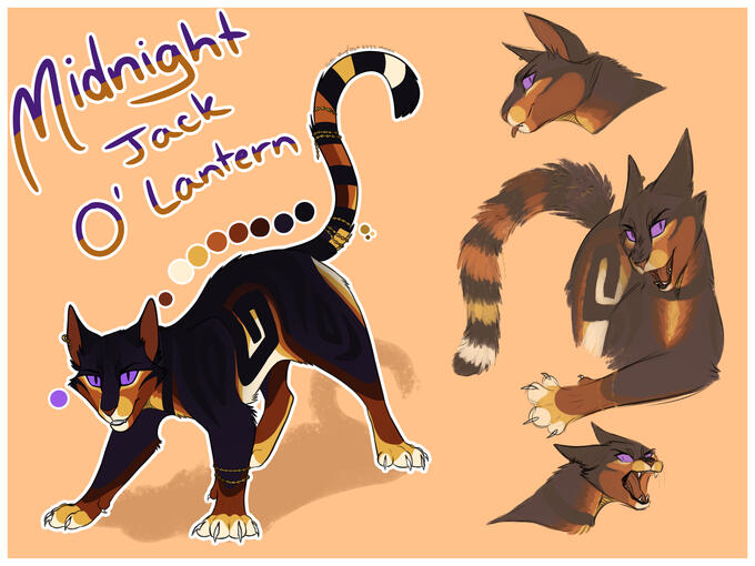 Midnight Midnight