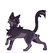 Sleekraven Bounce Sleekraven Bounce