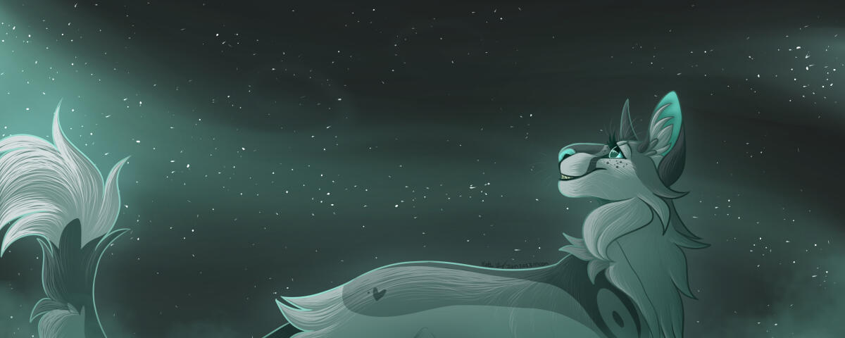 Decorative Moon Banner